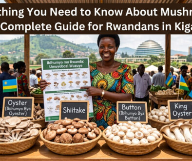 Mushrooms in Kigali: The Complete Rwandan Guide